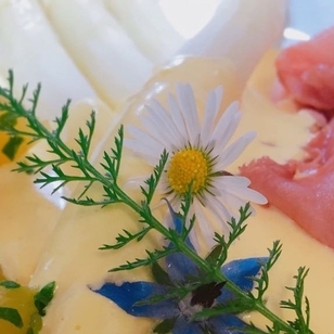 Oberlaaer Dorf-Wirt, Marchfelder Spargel mit Sauce Hollandaise