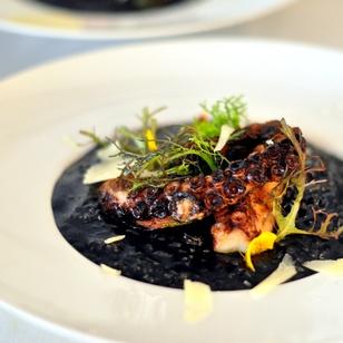 Philigrano, Risotto Nero mit gebratenem Oktopus