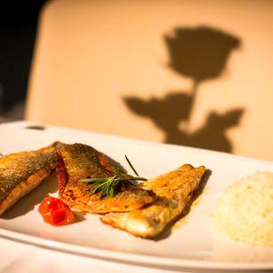 Ferdis Fisch und Steak Restaurant, Branzino mit Risotto